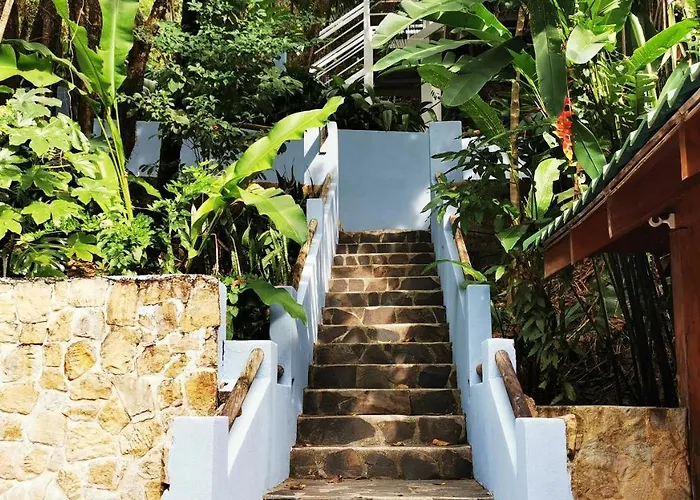 Moana Nicoya
