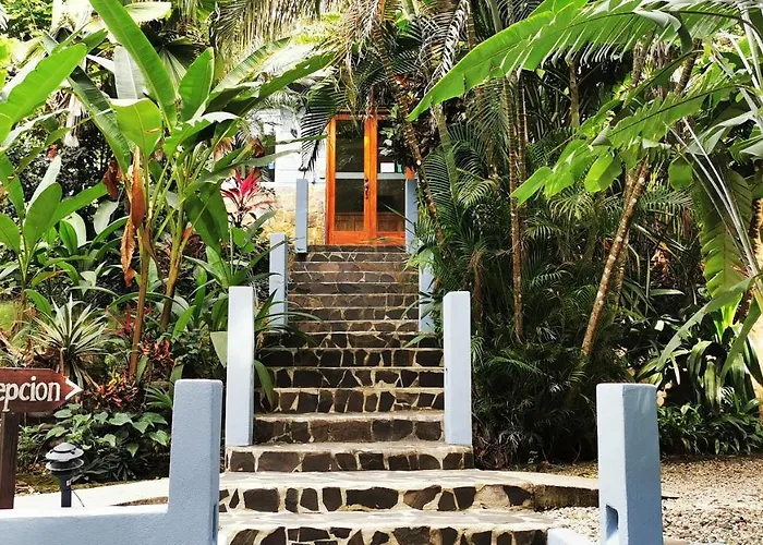 Moana * Nicoya